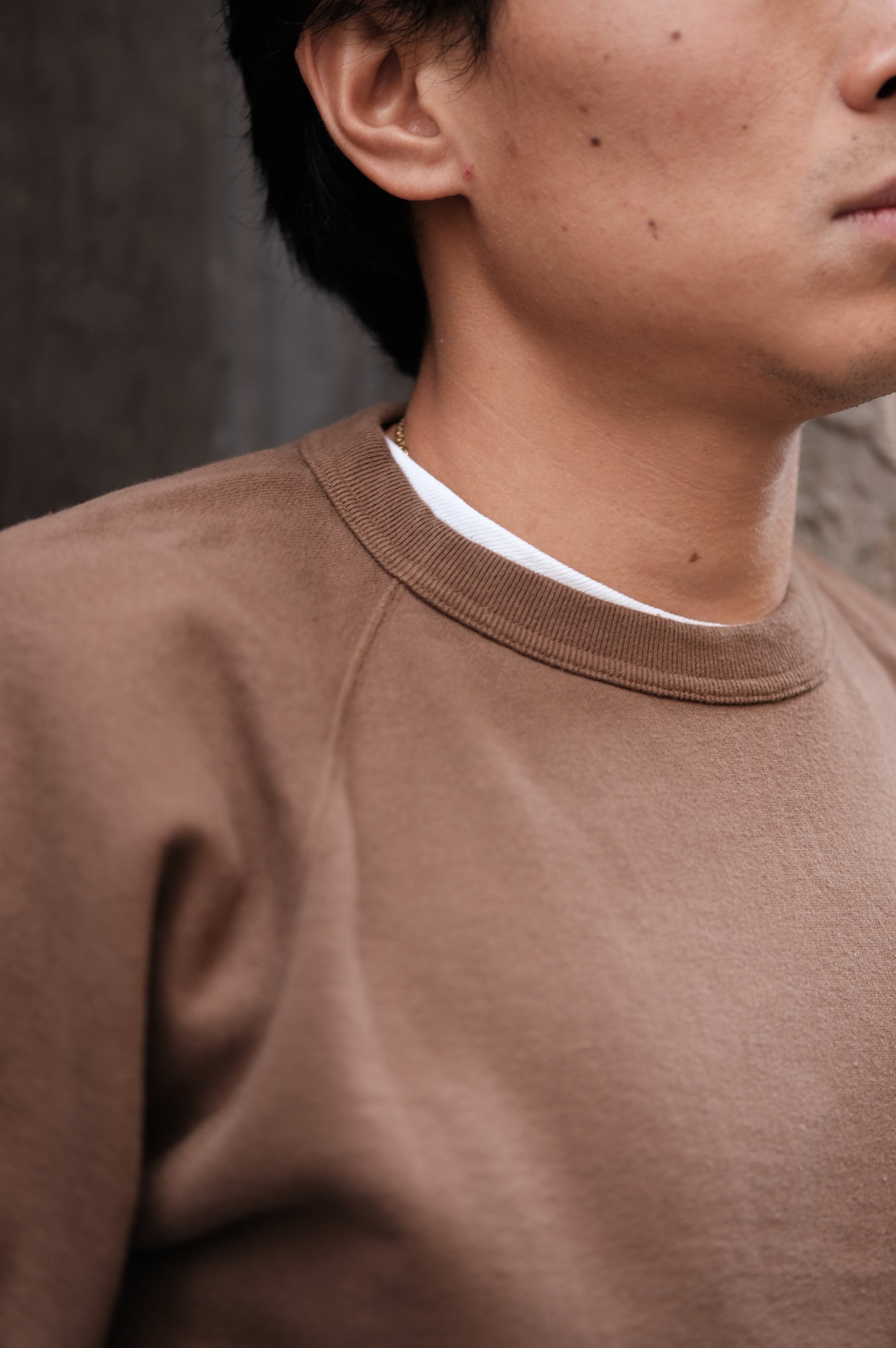 Felco NYC Classic Fit Raglan French Terry Brown