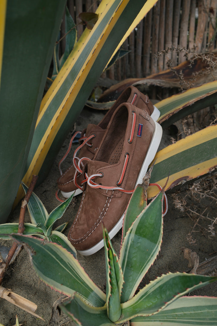 Sebago Portland Nubuck Dk Brown
