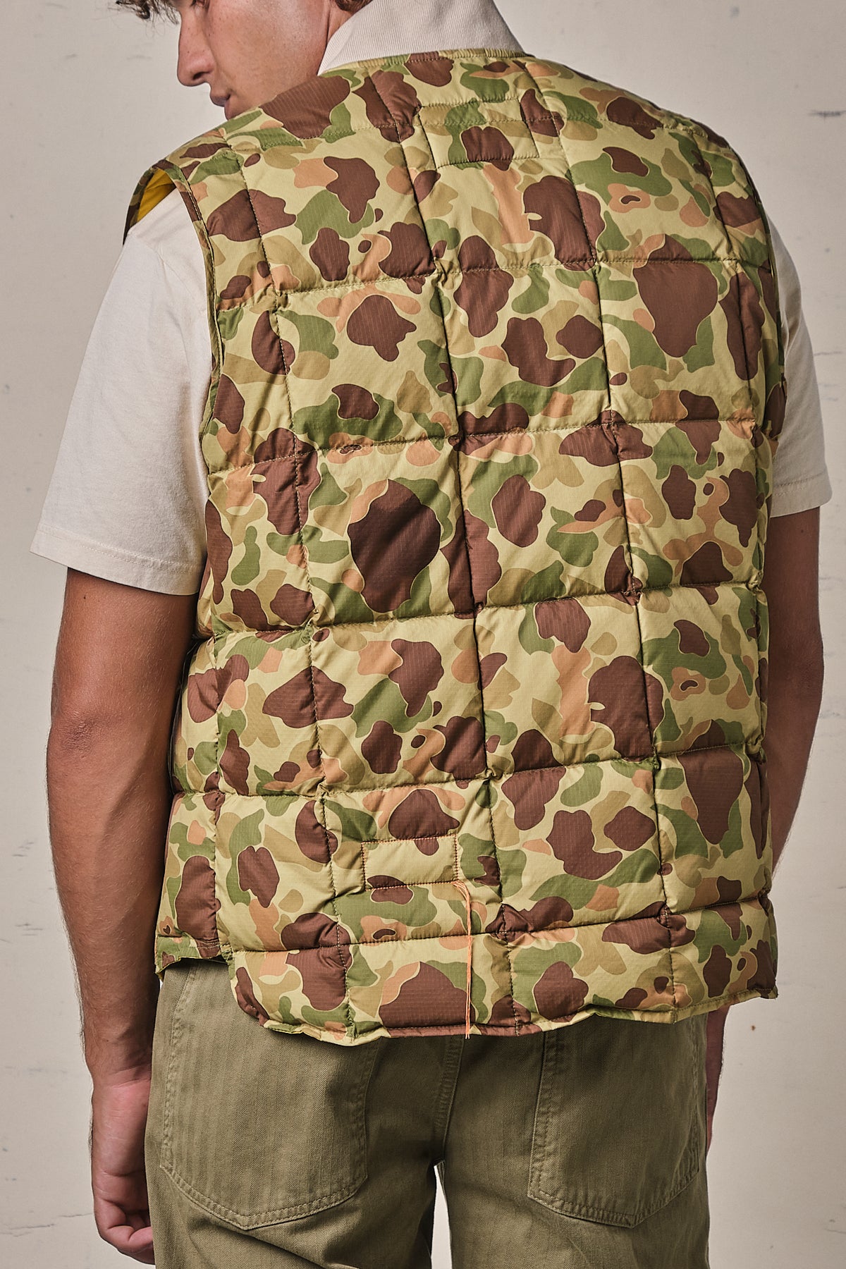 Fortela Leo02 Vest1 Kam