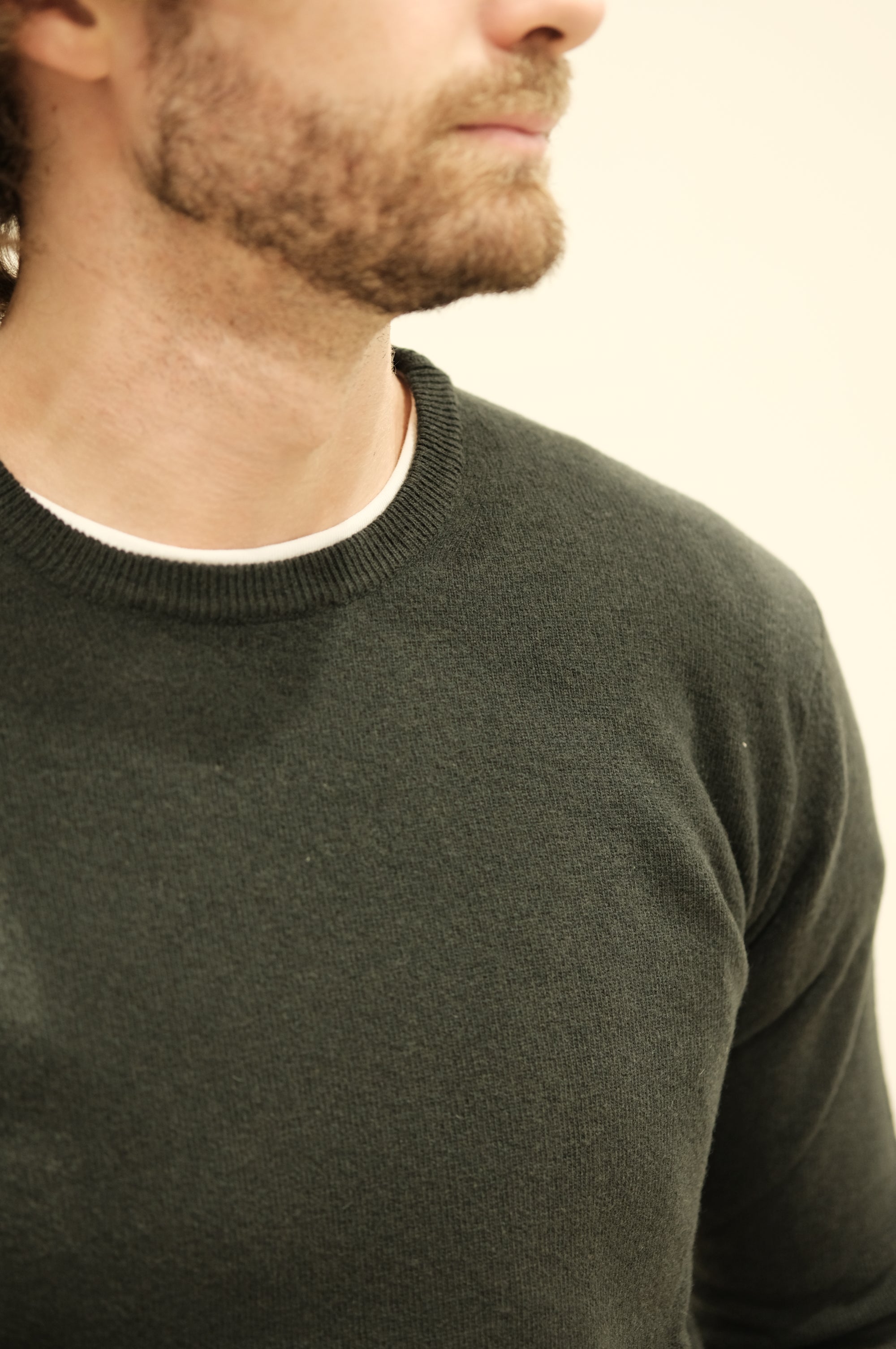 Gaffi & Co. Maglia Girocollo Lana Bosco