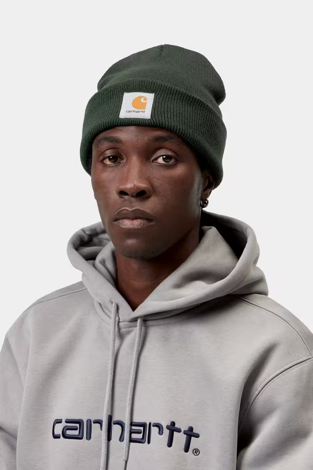 Carhartt WIP Short Watch Hat Dark Scarab